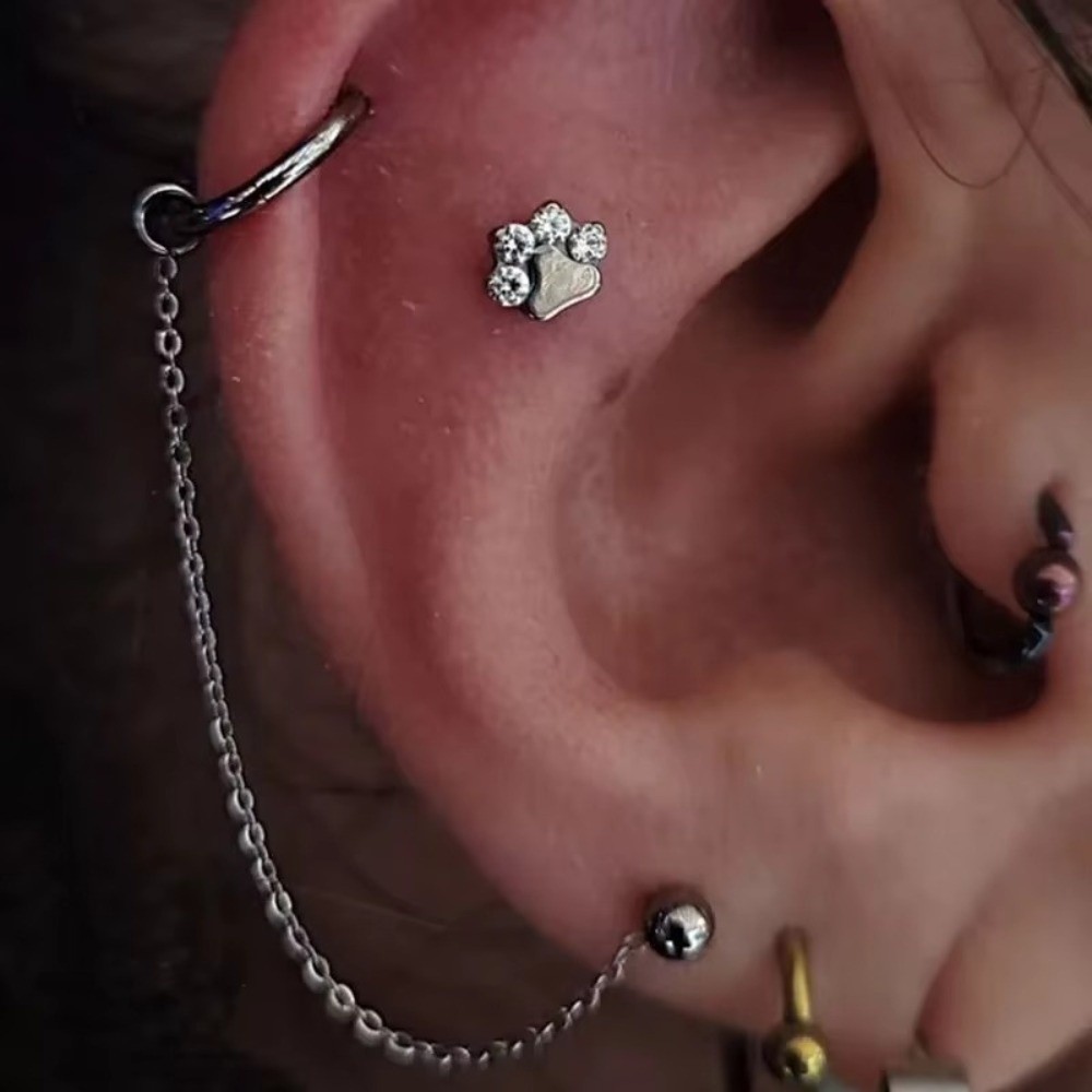 Chaîne de nez en titane, chaîn - Body Jewelry Piercing avis et prix